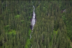 Erosion from logging. Romania. photo: Agent Green