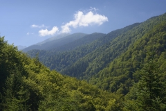 Fagaras Mountains Natura 2000 site / Romania. (c) Matthias Schickhofer