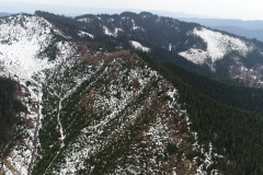 Abusive logging inside national park Domogled. photo: Andrei Ciurcanu